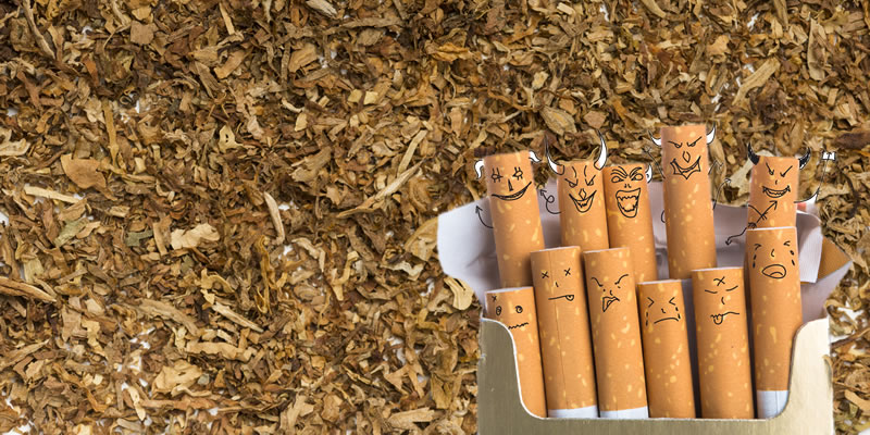 history of tobacco in india LetsQuit
